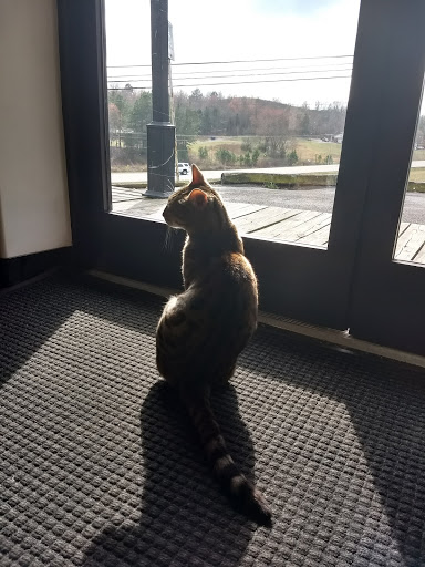 Winery «Ocoee Winery Inc», reviews and photos, 5365 Waterlevel Hwy, Cleveland, TN 37323, USA