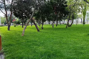 Parc Podu Roş image