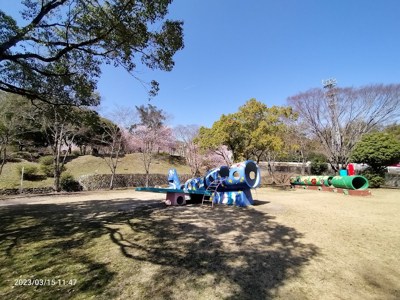 皇子が丘公園 ハツミヨザクラ標準木