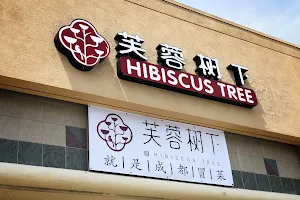 HIBISCUS TREE image