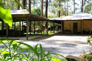 Fernglen Forest Retreat image