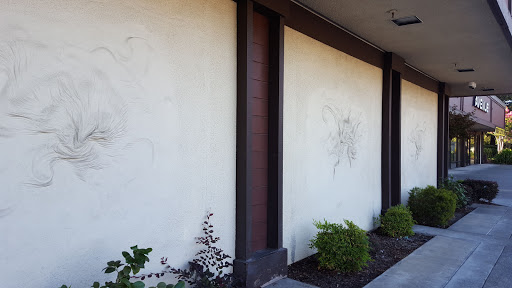 Fabric Store «Jo-Ann Fabrics and Crafts», reviews and photos, 3620 Industrial Dr, Santa Rosa, CA 95403, USA