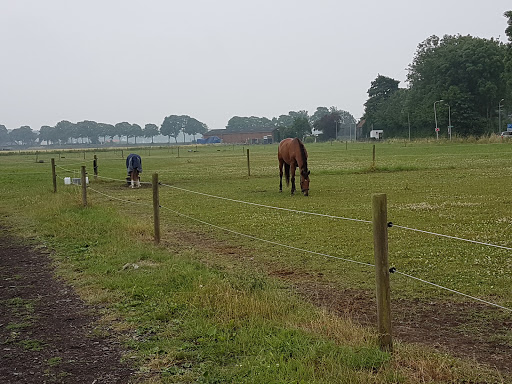 Riding School Horse Boarding Stable De Hooge Stee