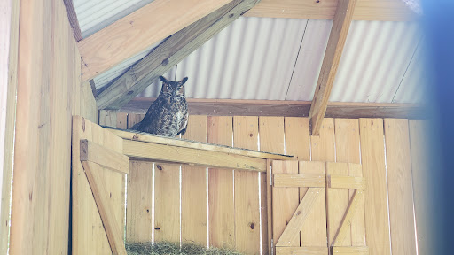 Animal Shelter «Animal Adventures Family Zoo & Rescue Center», reviews and photos, 336 Sugar Rd, Bolton, MA 01740, USA