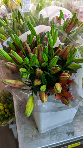 Florist «Dillon Floral Corporation», reviews and photos, 933 Columbia Blvd, Bloomsburg, PA 17815, USA