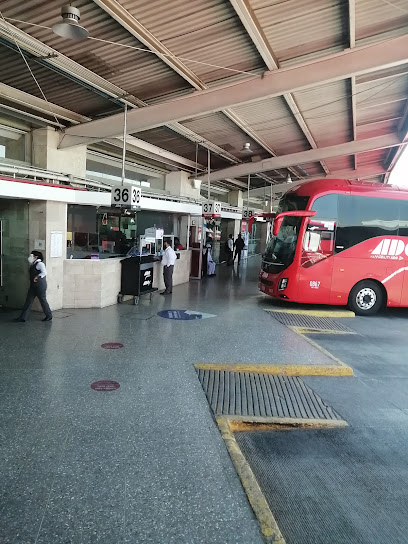 CAPU - Terminal Central de Autobuses de la Ciudad de Puebla