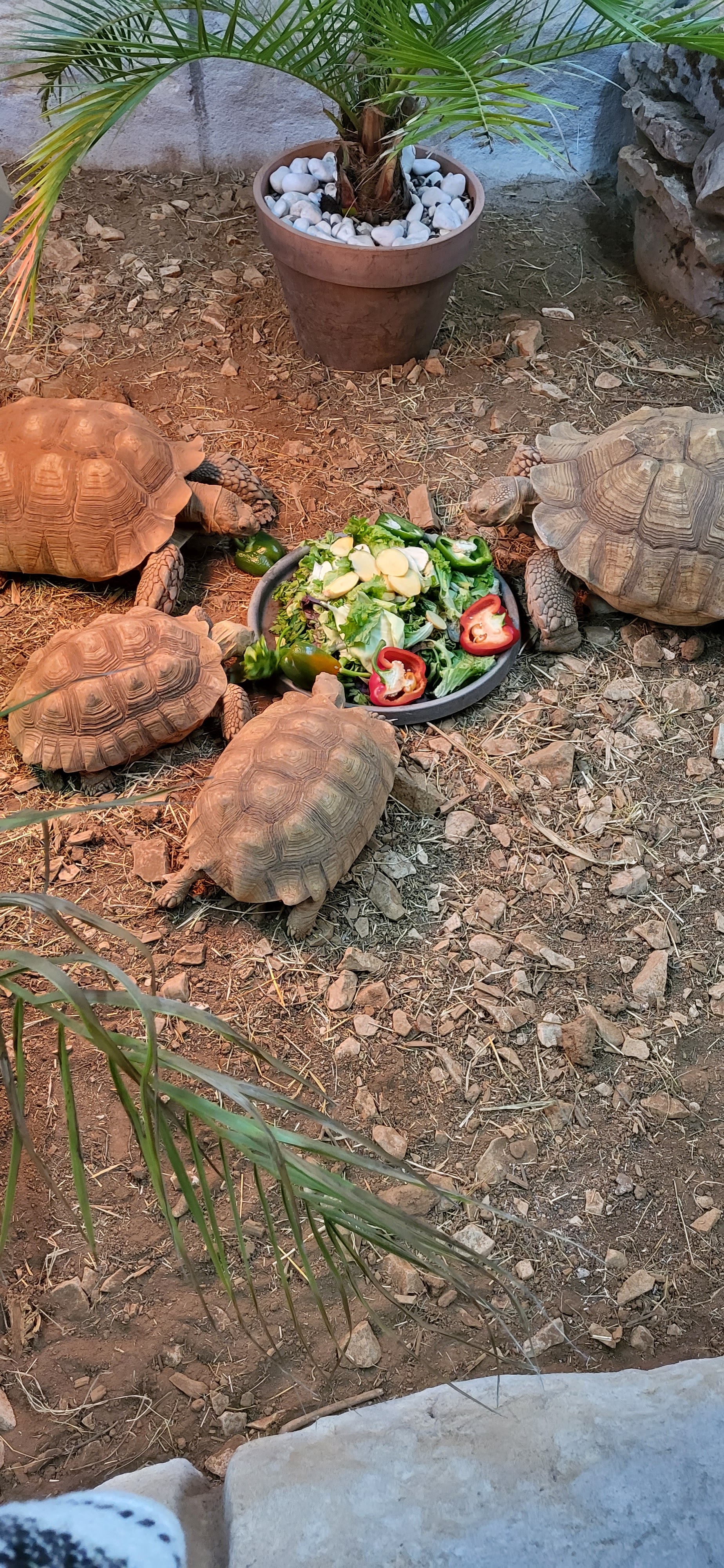 Photo n° 3 de l'avis de Marie.e fait le 18/02/2023 à 20:06