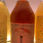 Photo n°2 de l'avis de sofia.u fait le 29/12/2022 à 09:04 sur le  Donna Selvatica à Neive