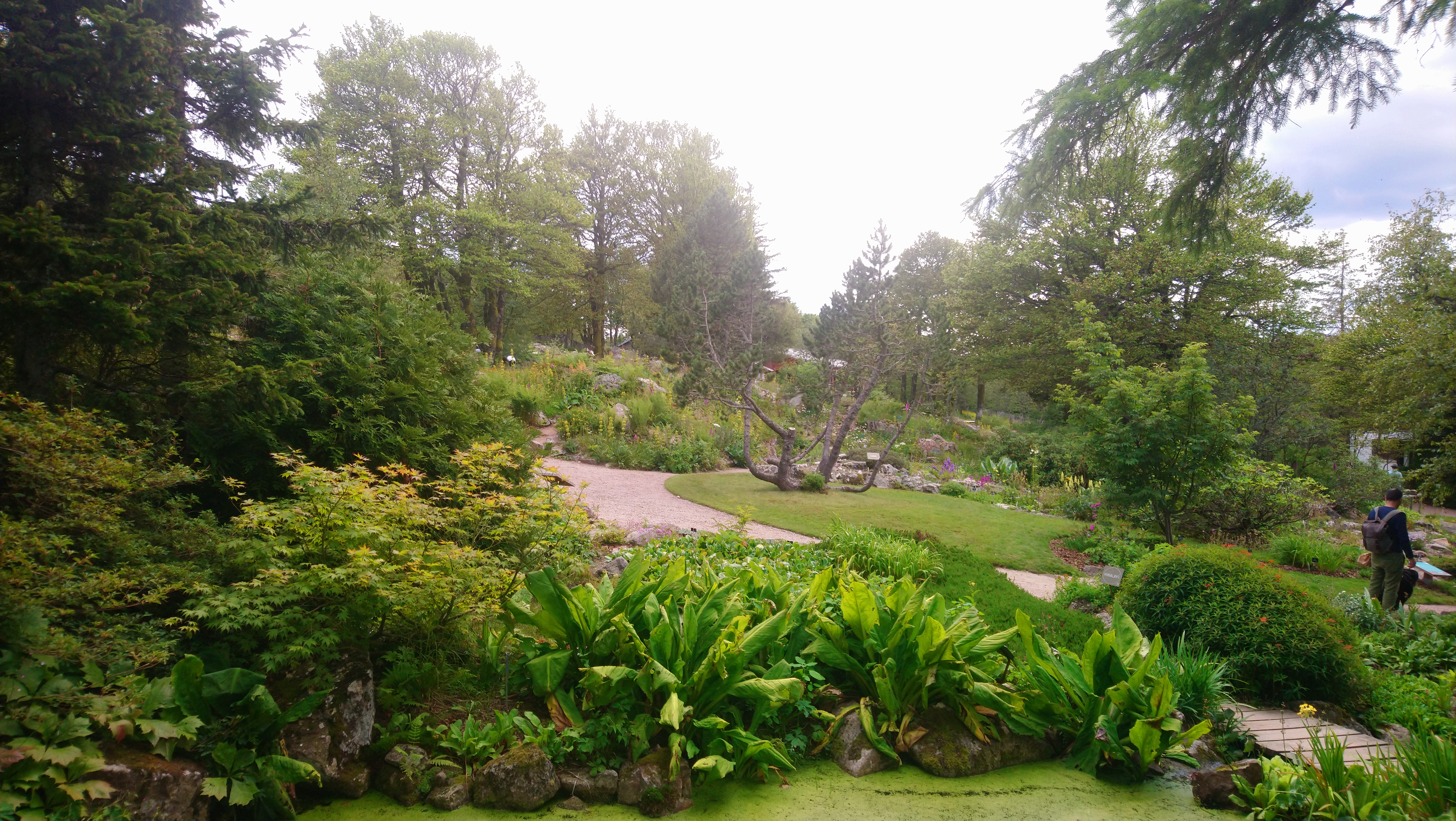 Photo n° 2 de l'avis de Karine.r fait le 25/07/2020 à 18:10