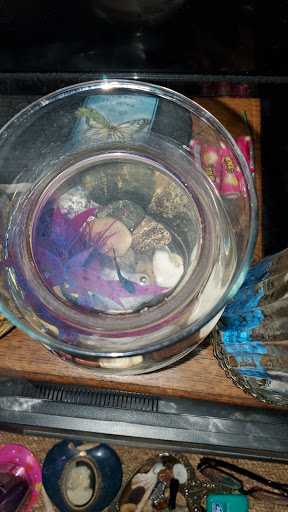 Pet Supply Store «Petco Animal Supplies», reviews and photos, 891 NE D St, Grants Pass, OR 97526, USA