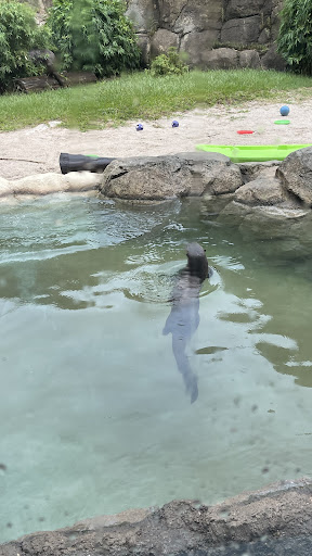 Zoo «Rainforest Pyramid», reviews and photos, 1 Hope Blvd, Galveston, TX 77554, USA