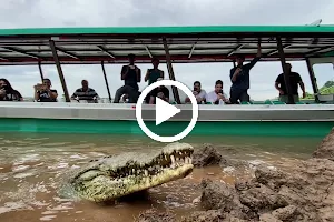 Jose´s Crocodile River Tour image