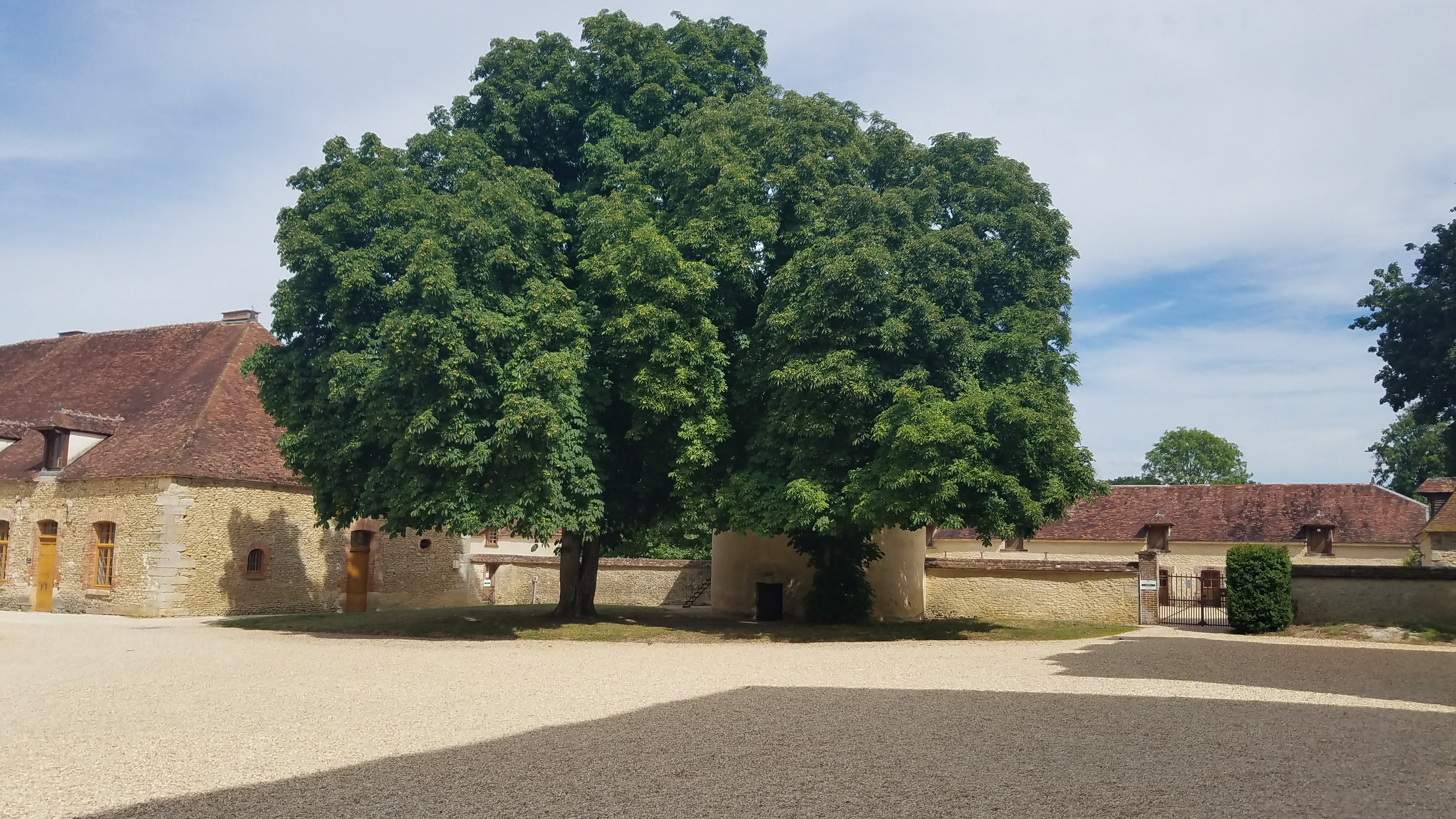 Photo n° 1 de l'avis de Daniel.a fait le 19/07/2020 à 18:44
