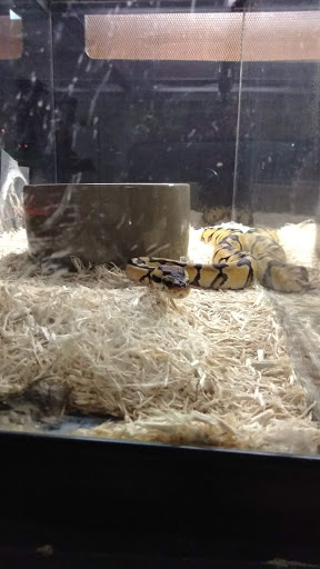 Pet Store «Wildside Pets», reviews and photos, 1042 N Higley Rd #105, Mesa, AZ 85205, USA