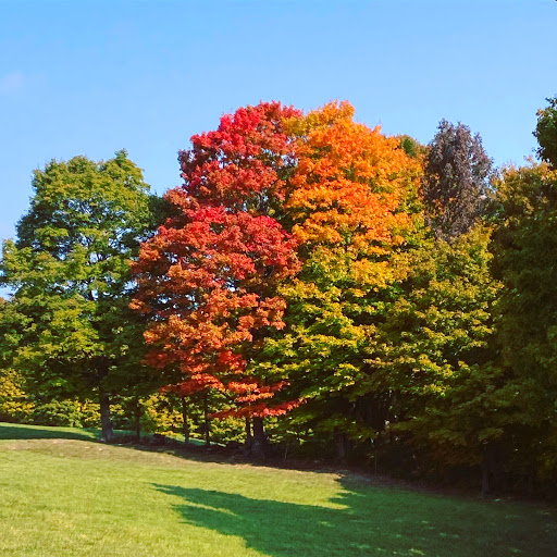 National Forest «Green Mountain and Finger Lakes National Forests», reviews and photos, 231 N Main St, Rutland, VT 05701, USA