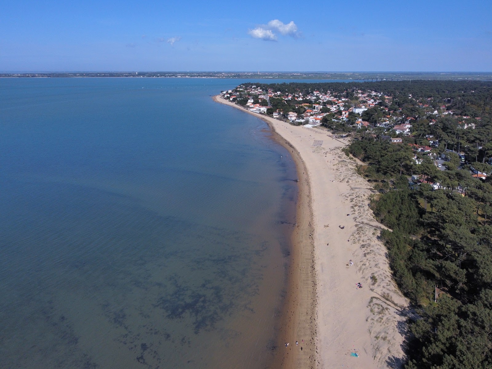 Plage de la Cepe photo #8