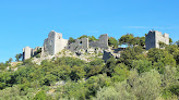 Ruines du château d'Allègre Allègre-les-Fumades