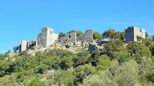 Ruines du château d'Allègre à Allègre-les-Fumades