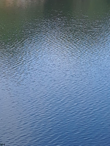 Park «Tom Slick Park / Dog Park», reviews and photos, 7400 Texas 151 Access Rd, San Antonio, TX 78227, USA