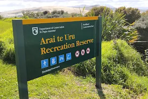 Arai te Uru Nature Reserve image