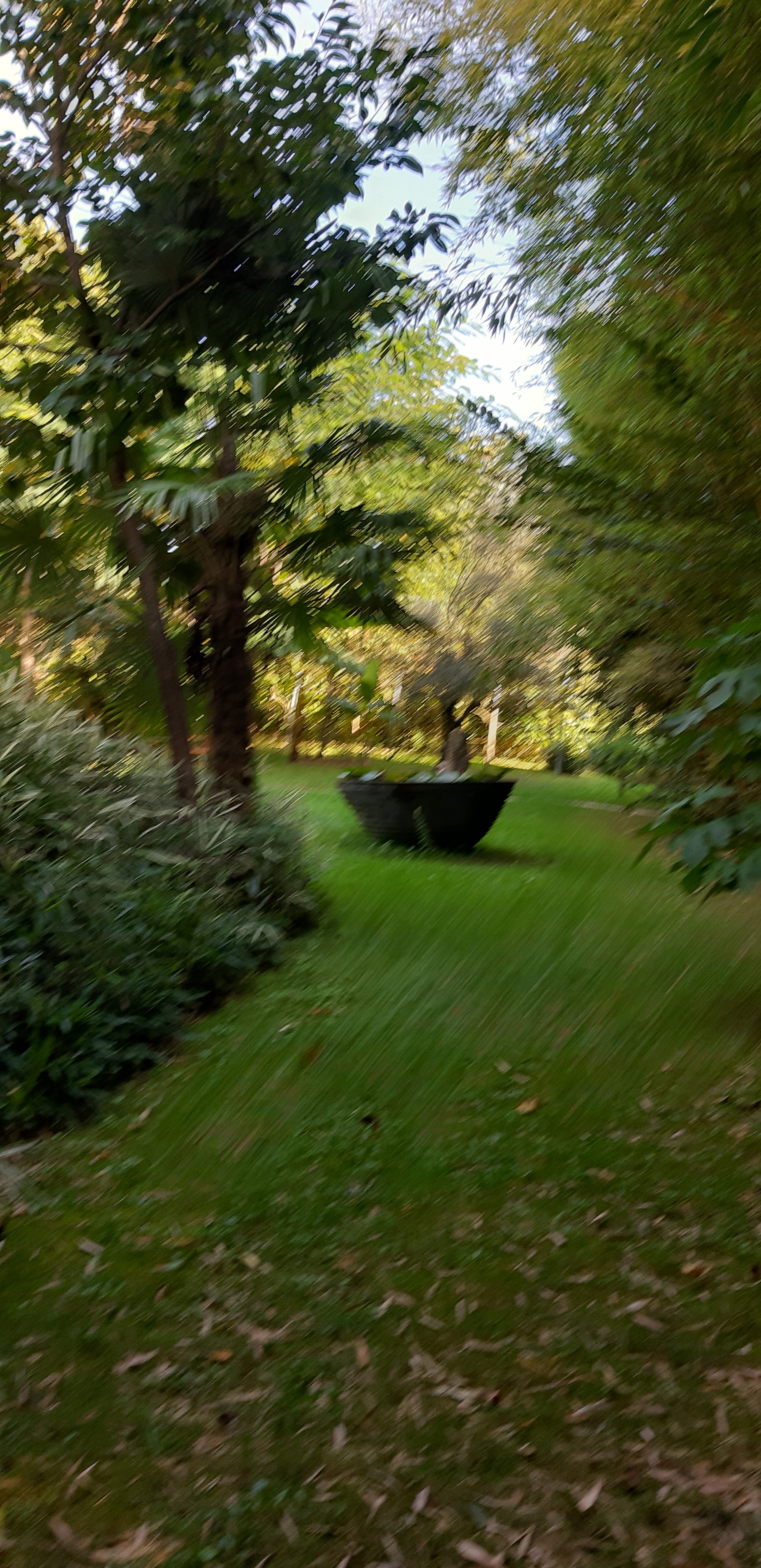 Photo n° 42 de l'avis de denis.o fait le 01/10/2019 à 12:55