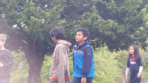 Park «Grapevine Springs Park», reviews and photos, 700 Park St, Coppell, TX 75019, USA