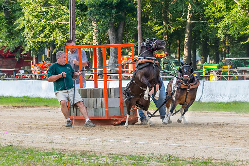 Museum «Tuckahoe Steam & Gas Association», reviews and photos, 11472 Ocean Gateway, Easton, MD 21601, USA