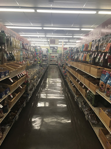 Pet Supply Store «Pet Supplies Plus», reviews and photos, 2410 Augusta Rd, West Columbia, SC 29169, USA