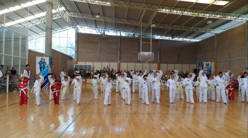 Instituto Autónomo de Taekwondo