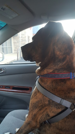 Sandwich Shop «Firehouse Subs», reviews and photos, 1605 Westover Terrace, Greensboro, NC 27408, USA