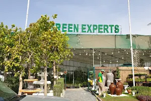 Green Experts image