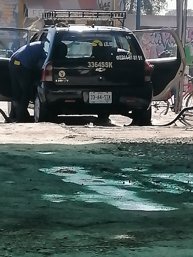 servicios de tapiceria AG