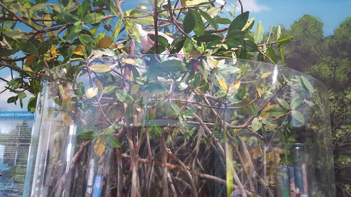 Aquarium «St. Lucie County Aquarium», reviews and photos, 420 Seaway Dr, Fort Pierce, FL 34949, USA