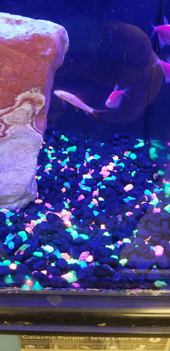 Pet Supply Store «Petco Animal Supplies», reviews and photos, 85 State St, Orem, UT 84058, USA