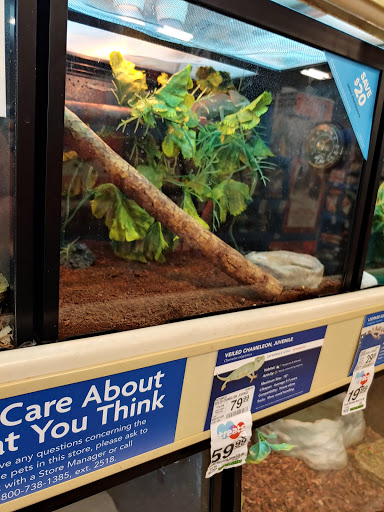 Pet Supply Store «PetSmart», reviews and photos, 5750 W 86th St, Indianapolis, IN 46278, USA