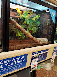 PetSmart - Photo 6 - Car repair in Indianapolis, IN, Indianapolis