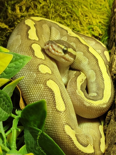 Pet Store «The Pet Works», reviews and photos, 407 4th Ave E, Olympia, WA 98501, USA