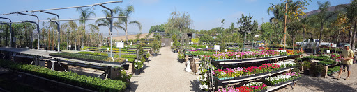 Elegant Gardens Nursery, Inc.