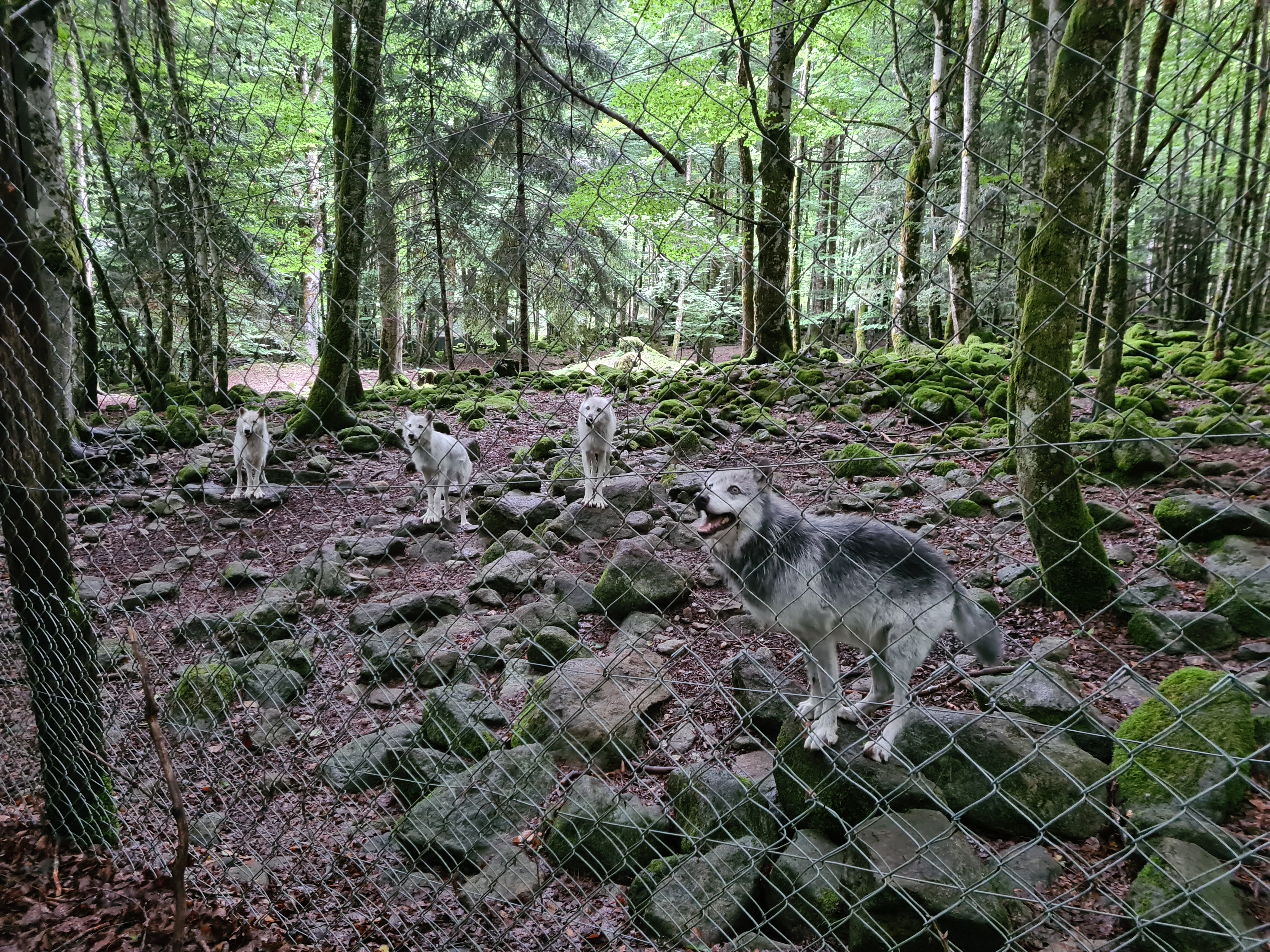 Photo n° 2 de l'avis de Aurélien.r fait le 10/08/2022 à 22:43