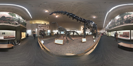 Yale Peabody Museum Store, 170 Whitney Ave, New Haven, CT 06511, USA, 