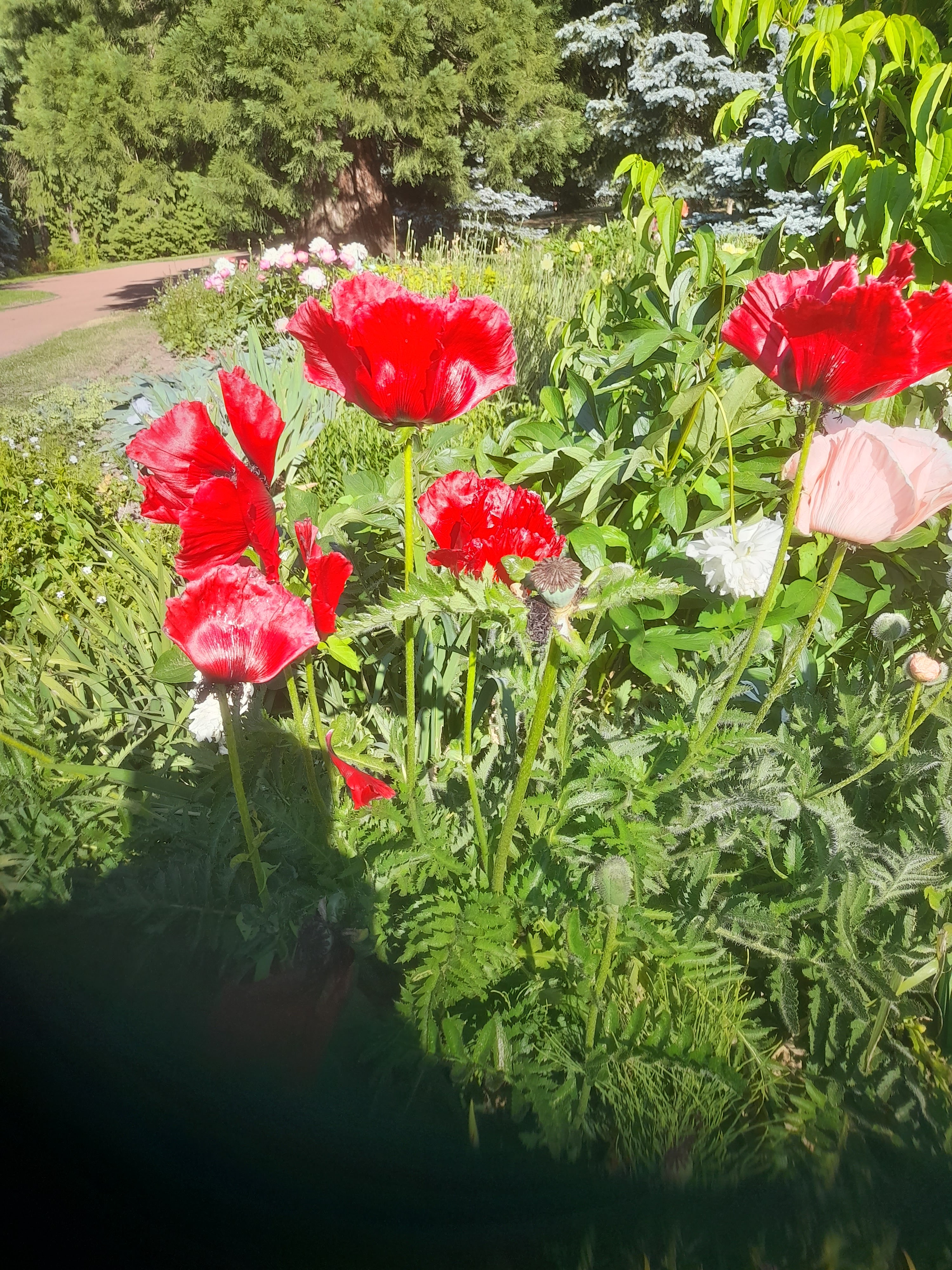 Photo n° 5 de l'avis de Majid.a fait le 02/06/2022 à 12:32