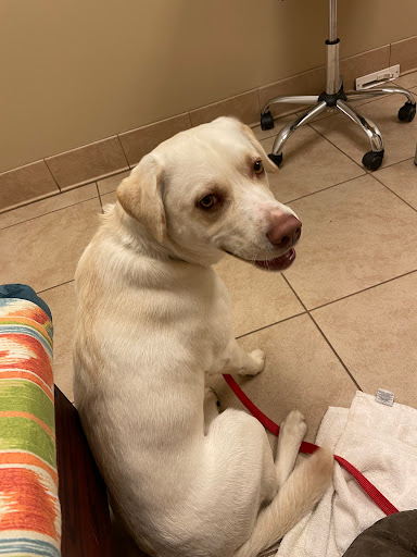 3623 Indian Hills Rd SE, Decatur, AL 35603, USA