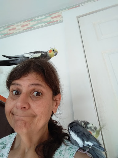 Pet Store «Just Pets», reviews and photos, 393 NY-5, Irving, NY 14081, USA