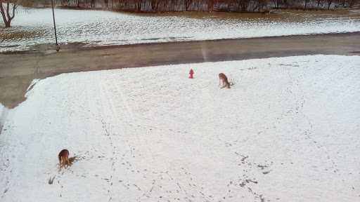 Casino «Hollywood Casino & Hotel Joliet», reviews and photos, 777 Hollywood Blvd, Joliet, IL 60436, USA