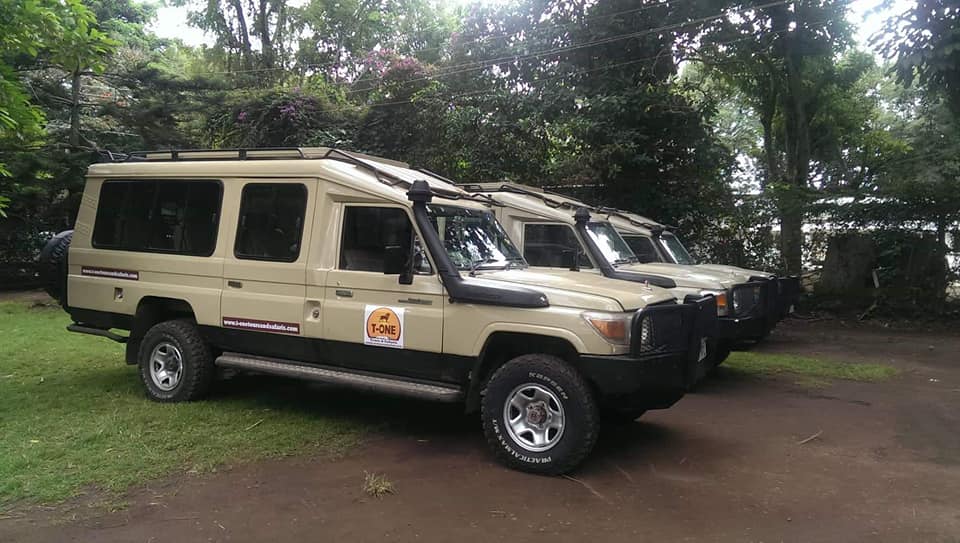 T-One Tours and Safaris
