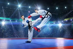 United Martial Arts and Fitness Club (Branch-3) image