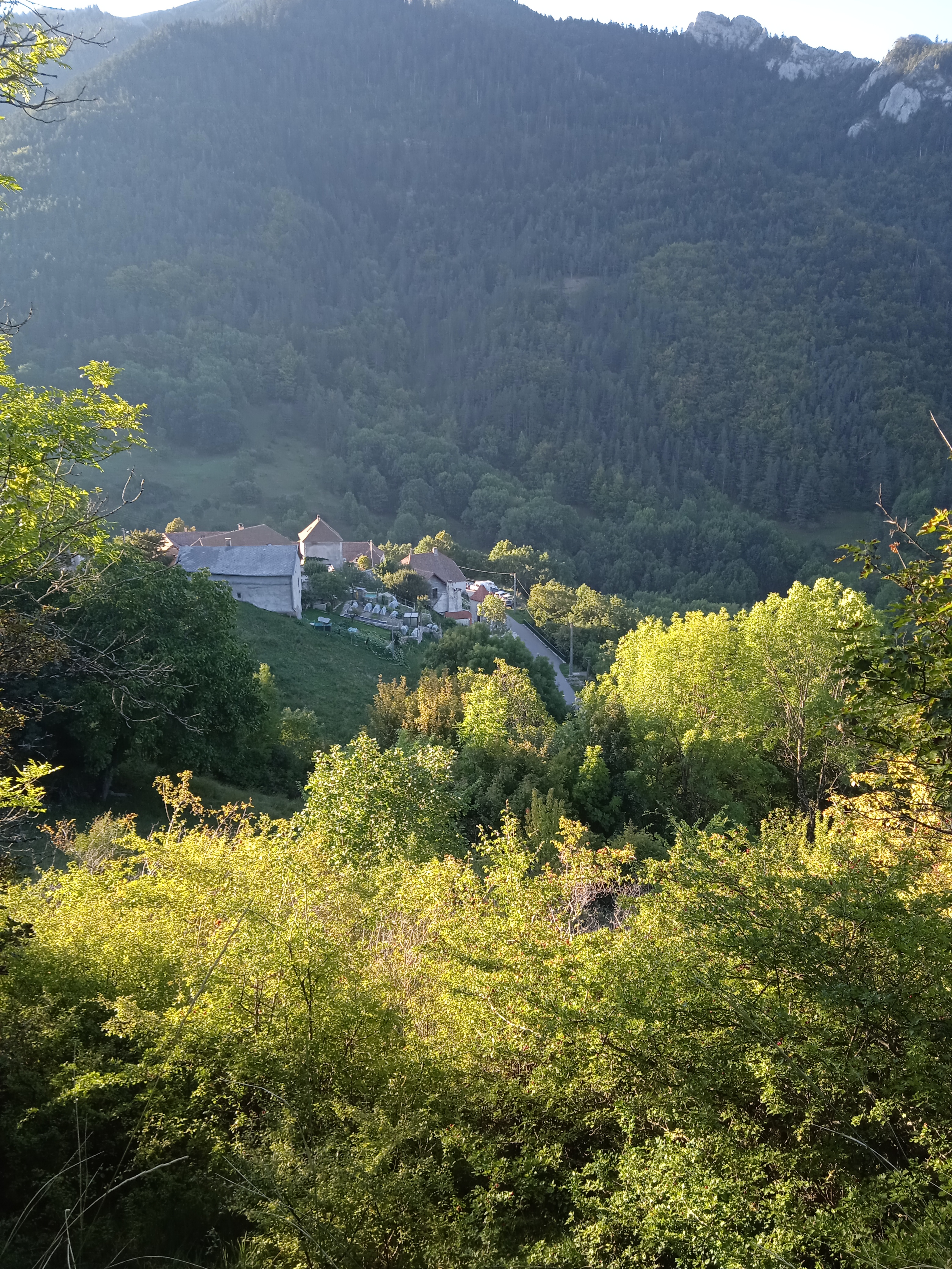 Photo n° 2 de l'avis de Françoise.n fait le 13/09/2020 à 18:02
