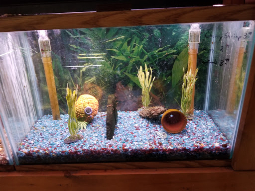 Pet Supply Store «All About Pets», reviews and photos, 9285 Cincinnati Columbus Rd, West Chester Township, OH 45069, USA