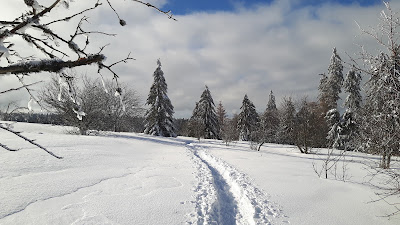 Skieurs de Strasbourg à Belmont
