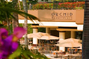 Orchid Marketplace image
